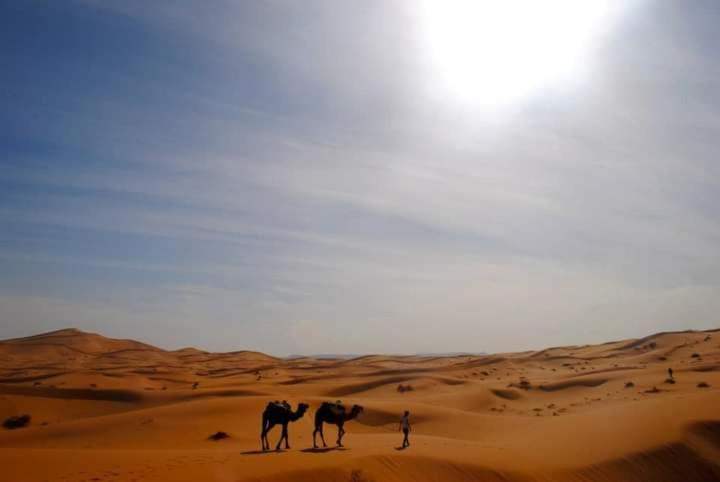 Erg Chebbi Starlight Camp 호텔 메르주가 외부 사진